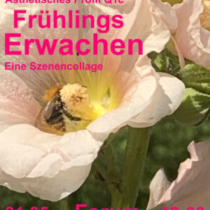 Frühlingserwachen 3