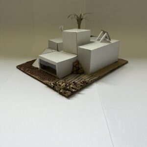 IMG_4315