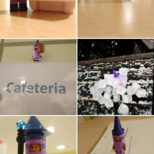 20260128_115636-COLLAGE