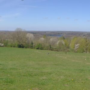 WIN_20260420_14_51_39_Panorama