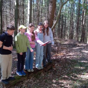 WIN_20260422_13_28_45_Pro